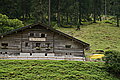 Bernhard Saalfeld - DSC07835.JPG