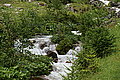 Bernhard Saalfeld - DSC07838.JPG