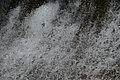 Bernhard Saalfeld - DSC07839.JPG