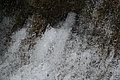 Bernhard Saalfeld - DSC07840.JPG