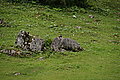 Bernhard Saalfeld - DSC07856.JPG