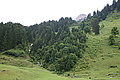 Bernhard Saalfeld - DSC07867.JPG