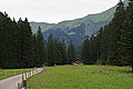 Bernhard Saalfeld - DSC07875.JPG