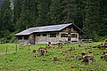 Bernhard Saalfeld - DSC07876.JPG