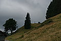 Bernhard Saalfeld - DSC07922.JPG