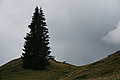Bernhard Saalfeld - DSC07925.JPG