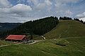 Bernhard Saalfeld - DSC07929.JPG