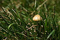 Bernhard Saalfeld - DSC07944.JPG