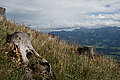 Bernhard Saalfeld - DSC07962.JPG