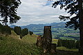 Bernhard Saalfeld - DSC07967.JPG