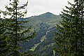 Bernhard Saalfeld - DSC07968.JPG