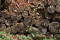 Bernhard Saalfeld - DSC07973.JPG