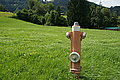 Bernhard Saalfeld - DSC07985.JPG
