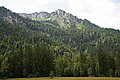 Bernhard Saalfeld - DSC08006.JPG