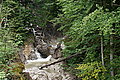 Bernhard Saalfeld - DSC08015.JPG