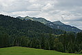 Bernhard Saalfeld - DSC08017.JPG