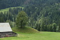 Bernhard Saalfeld - DSC08022.JPG