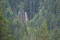 Bernhard Saalfeld - DSC08033.JPG