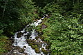 Bernhard Saalfeld - DSC08039.JPG