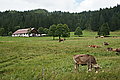 Bernhard Saalfeld - DSC08042.JPG