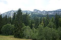 Bernhard Saalfeld - DSC08045.JPG