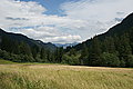 Bernhard Saalfeld - DSC08047.JPG
