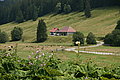 Bernhard Saalfeld - DSC08058.JPG