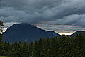 Bernhard Saalfeld - DSC08062.JPG