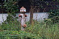 Bernhard Saalfeld - DSC08063.JPG