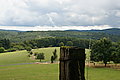 Bernhard Saalfeld - DSC08073.JPG
