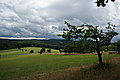 Bernhard Saalfeld - DSC08076.JPG