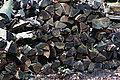 Bernhard Saalfeld - DSC08078.JPG
