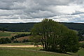 Bernhard Saalfeld - DSC08081.JPG