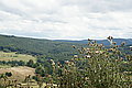 Bernhard Saalfeld - DSC08082.JPG