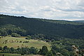 Bernhard Saalfeld - DSC08083.JPG
