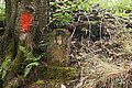Bernhard Saalfeld - DSC08096.JPG