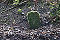Bernhard Saalfeld - DSC08098.JPG