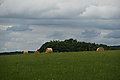 Bernhard Saalfeld - DSC08104.JPG