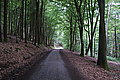 Bernhard Saalfeld - DSC08120.JPG