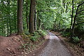 Bernhard Saalfeld - DSC08126.JPG