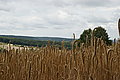 Bernhard Saalfeld - DSC08127.JPG