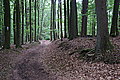 Bernhard Saalfeld - DSC08129.JPG