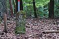 Bernhard Saalfeld - DSC08131.JPG
