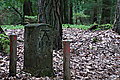 Bernhard Saalfeld - DSC08132.JPG