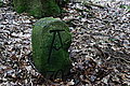 Bernhard Saalfeld - DSC08133.JPG