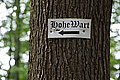 Bernhard Saalfeld - DSC08134.JPG