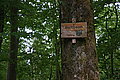 Bernhard Saalfeld - DSC08135.JPG