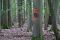 Bernhard Saalfeld - DSC08137.JPG