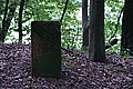 Bernhard Saalfeld - DSC08161.JPG