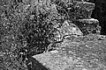 Bernhard Saalfeld - L1001382.JPG